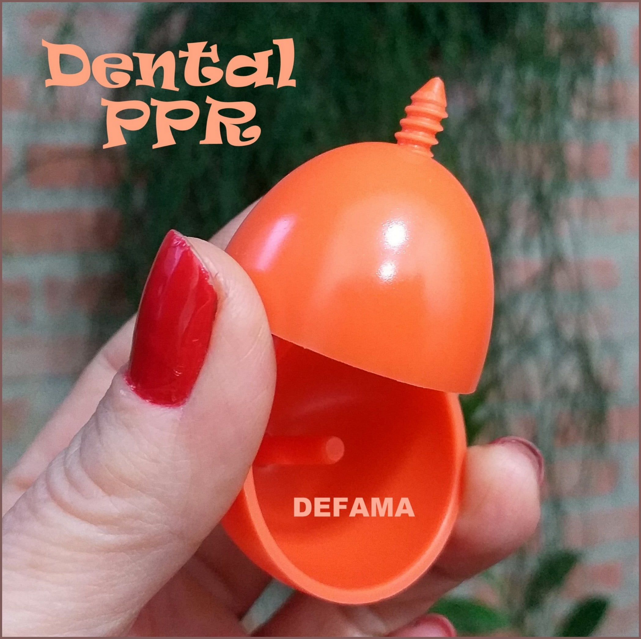 CONE PARA REPRODUÇÃO PPR - FAMACONE - DEFAMA