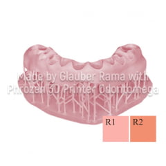 RESINA 3D ODONTOMEGA BASE DE PT PRINTAX BB BASE DE PT– DLP/ LCD – 500G 